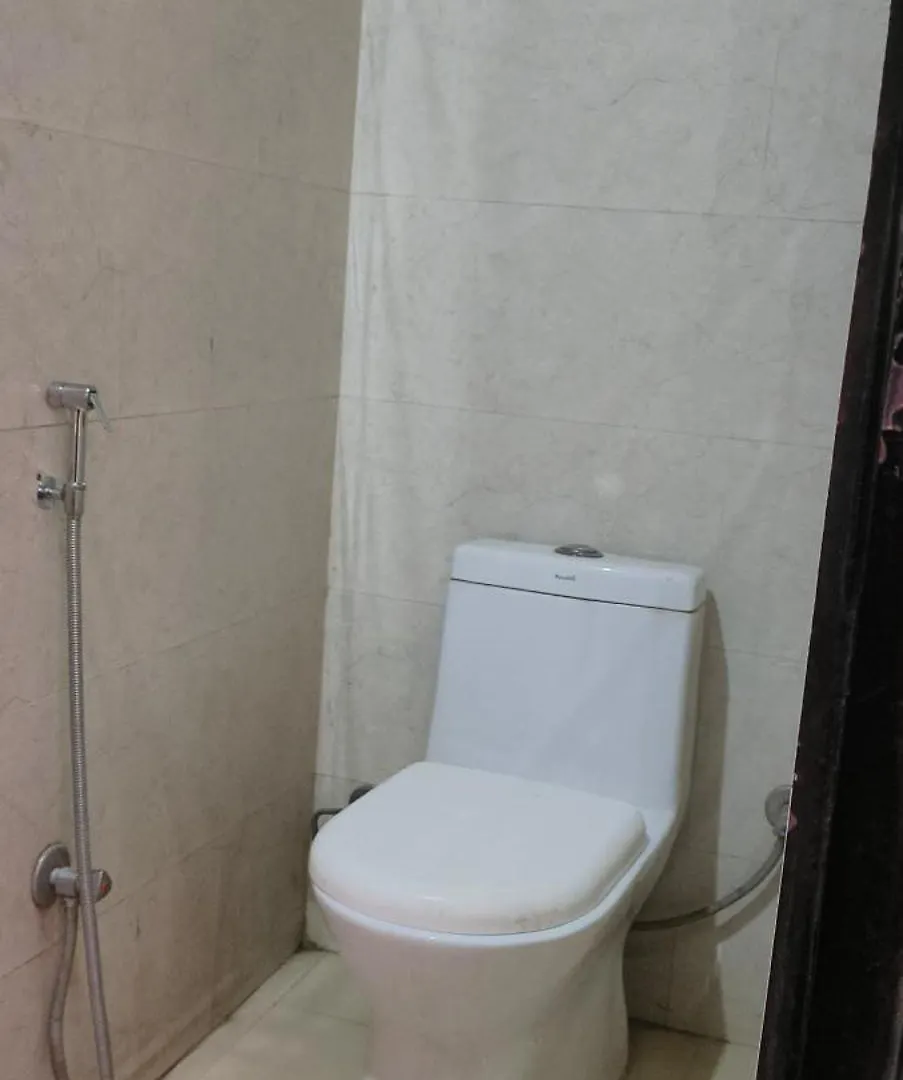 Hotel Madhu Palace Near Delhi Airport 3*, New Delhi India