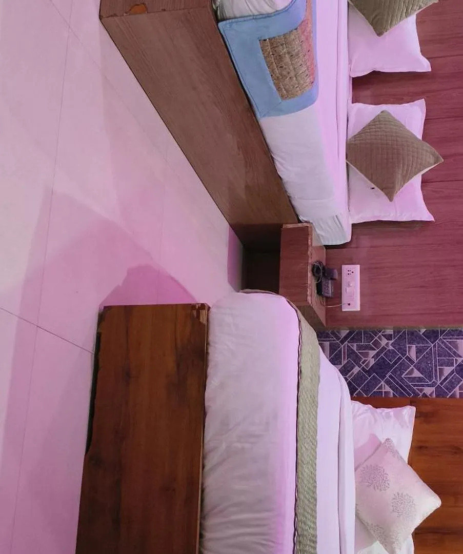 Hotel Madhu Palace Near Delhi Airport  New Delhi